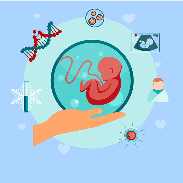 Surrogacuy Programme