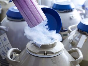 egg freezing clinics nairobi